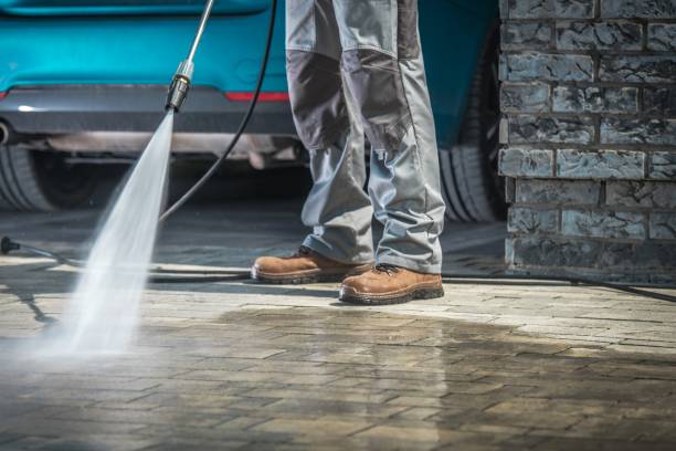 Best Pre-Holiday Cleaning  in Springville, VA