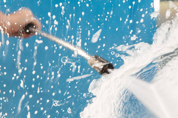 Best Animal Enclosure Cleaning  in Springville, VA