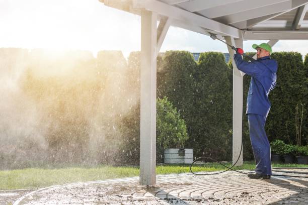 Best Spring Cleaning  in Springville, VA