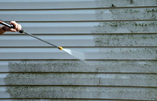 Best Driveway Pressure Washing  in Springville, VA